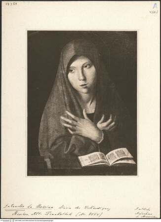 Vorderseite von bh019489_recto