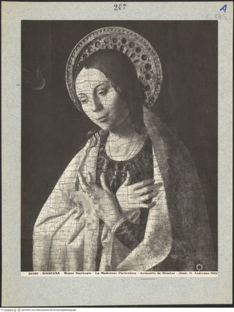 Vorderseite von bh019495_recto