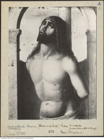 Vorderseite von bh019500_recto