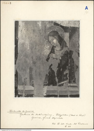 Vorderseite von bh019509_recto