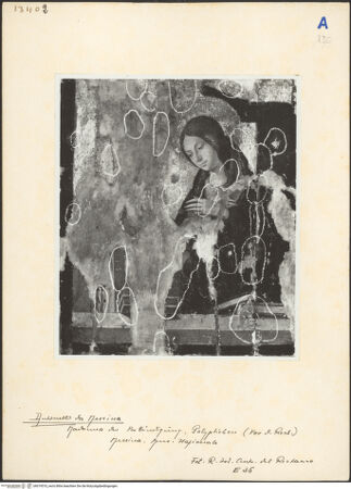 Vorderseite von bh019510_recto