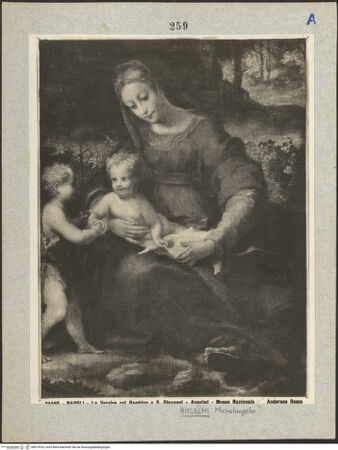 Vorderseite von bh019525_recto