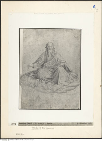 Vorderseite von bh019534_recto