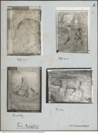 Vorderseite von bh019536_bh019537_bh019538_bh019539_recto