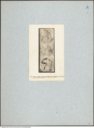 Vorderseite von bh019540_recto