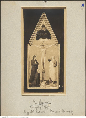 Vorderseite von bh019541_recto