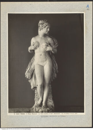 Vorderseite von Alinari [https://www.deutsche-digitale-bibliothek.de/content/lizenzen/rv-ez/] "Terra" - Gesamtansicht von vorn, bh019559_recto. Foto.