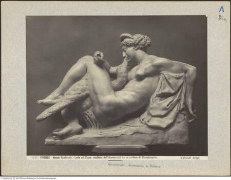 Vorderseite von bh019560_recto