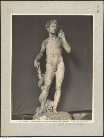 Vorderseite von bh019561_recto