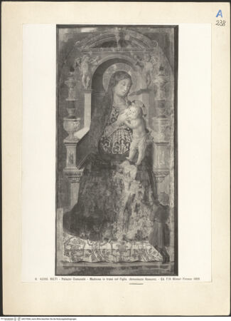 Vorderseite von bh019566_recto