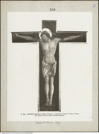 Vorderseite von bh019576_recto