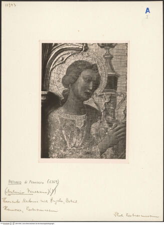 Vorderseite von bh019581_recto