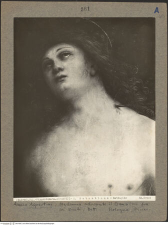 Vorderseite von bh019587_recto