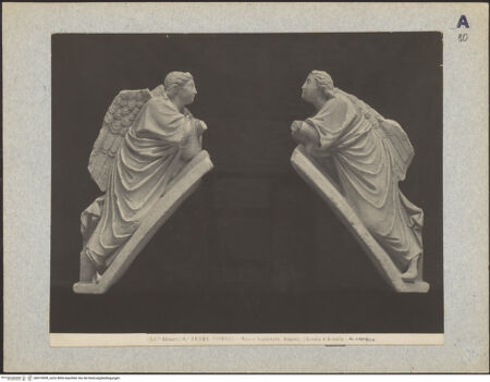 Vorderseite von bh019599_recto