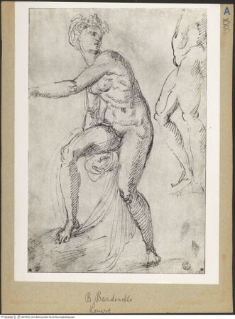 Vorderseite von bh019633_recto