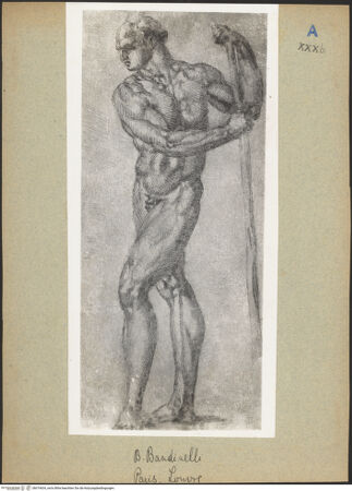 Vorderseite von bh019634_recto