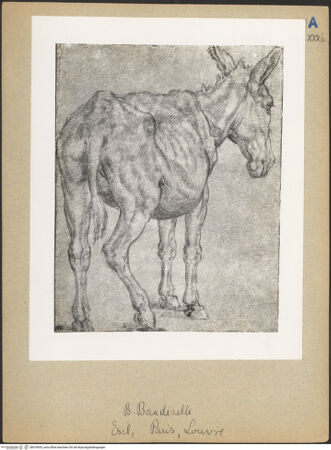 Vorderseite von bh019635_recto