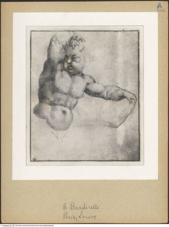 Vorderseite von bh019639_recto