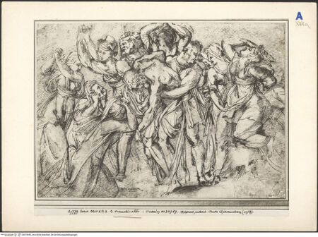 Vorderseite von bh019643_recto