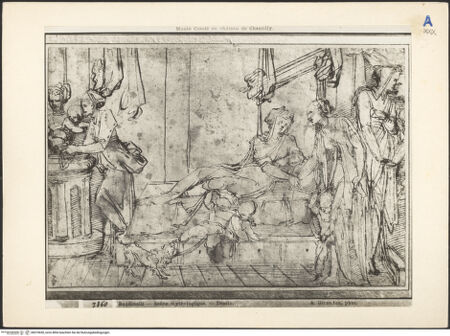 Vorderseite von bh019650_recto