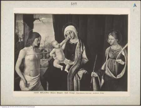 Vorderseite von bh019690_recto