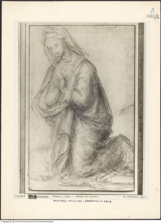 Vorderseite von bh019695_recto