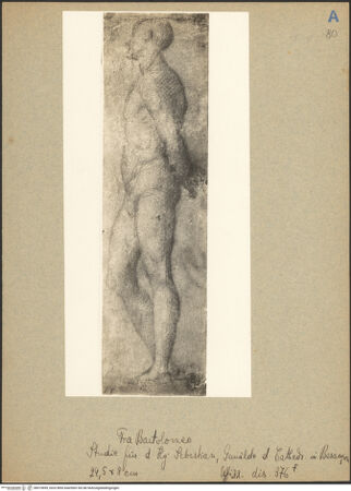 Vorderseite von bh019699_recto