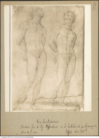 Vorderseite von bh019701_recto