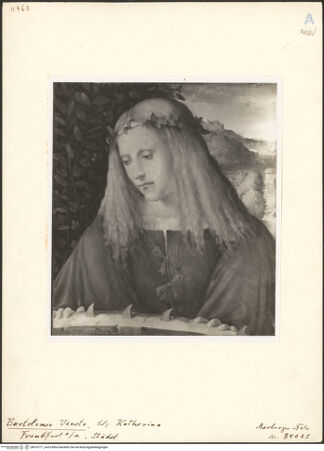 Vorderseite von bh019711_recto