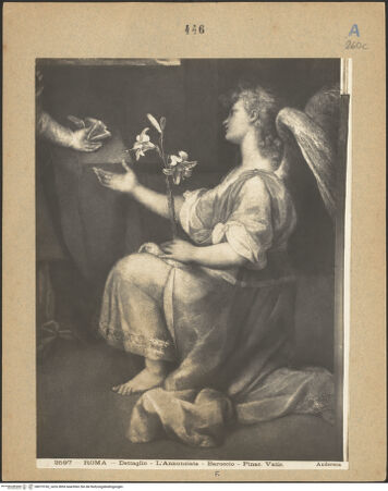 Vorderseite von bh019742_recto