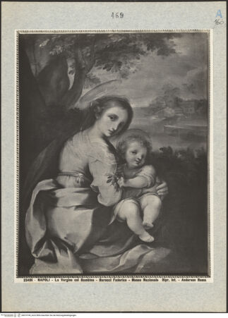 Vorderseite von bh019749_recto