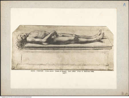 Vorderseite von bh019826_recto