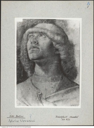 Vorderseite von bh019832_recto