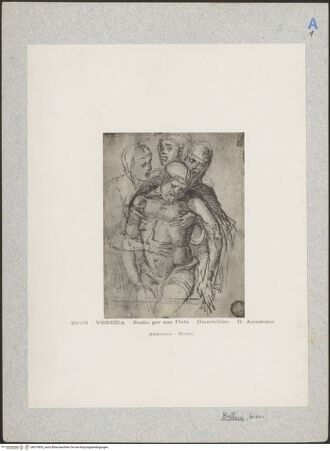 Vorderseite von bh019833_recto