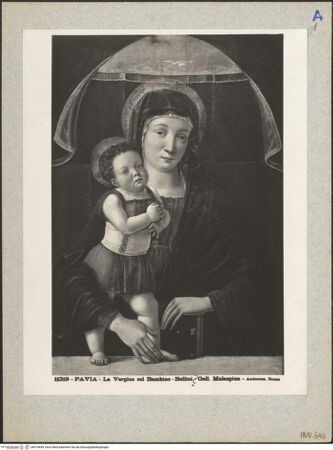 Vorderseite von bh019849_recto