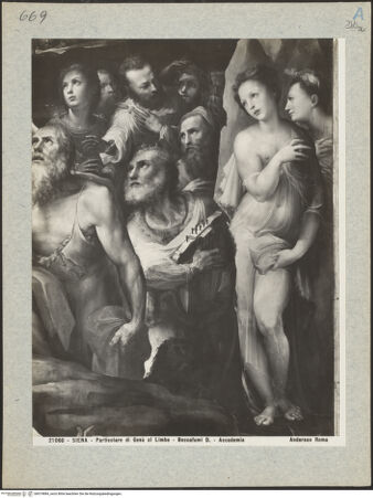 Vorderseite von bh019884_recto