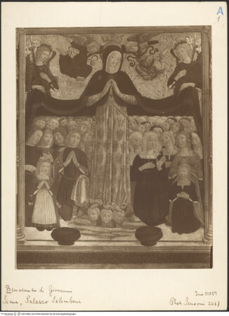 Vorderseite von bh019886_recto