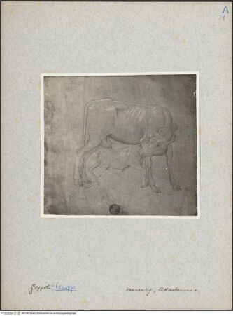 Vorderseite von bh019899_recto