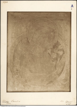 Vorderseite von bh019906_recto