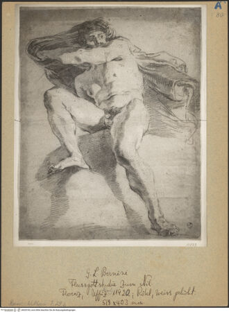 Vorderseite von bh020183_recto