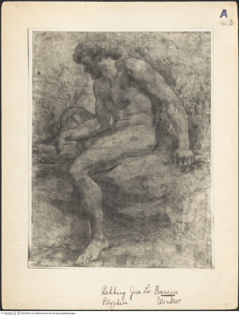 Vorderseite von bh020264_recto