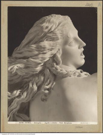 Vorderseite von bh020284_recto