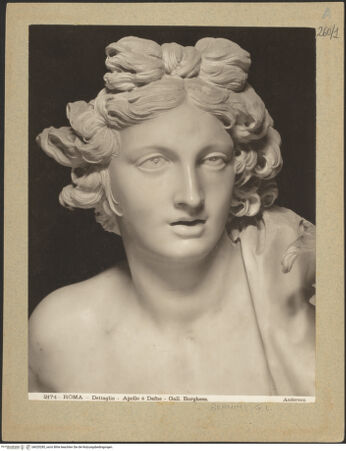 Vorderseite von bh020285_recto