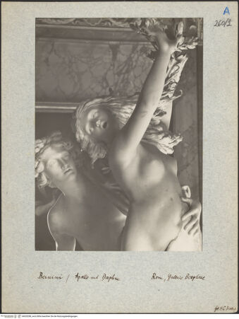 Vorderseite von bh020288_recto