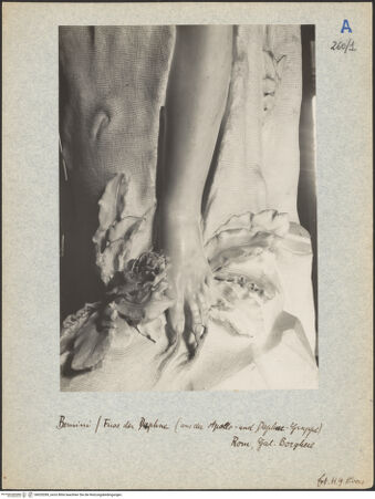 Vorderseite von bh020289_recto