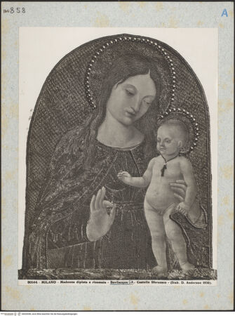 Vorderseite von bh020446_recto