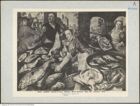 Vorderseite von bh020448_recto