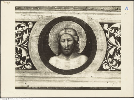 Vorderseite von bh020495_recto