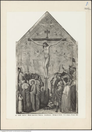 Vorderseite von bh020547_recto