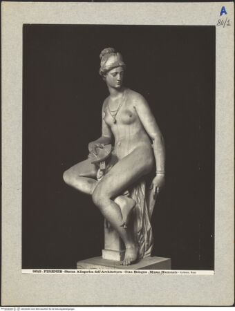 Vorderseite von bh020636_recto